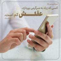 مجتبی علی