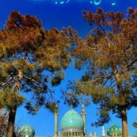 زهرا سرائی