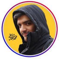 شقایقی محمد