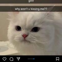 محمدحسین صدرا