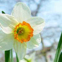 عبدالله حسینی