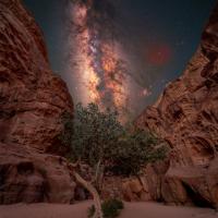 فاطمه کلهری