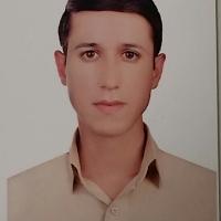 رضا جهانی
