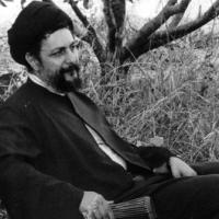 محمد شهرابی