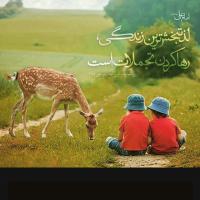 زهزه احمدی