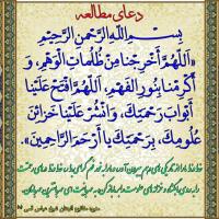 سیده شهین شاهرخی