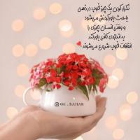 ز فیضی