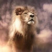 Mohammmadi Mohammmad