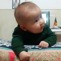 نعمت الله سروری