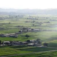 ایرج موبینی