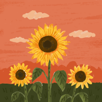 Sabori Jaber hussein