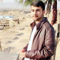 خلیلی نژاد حمزه