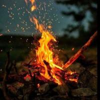 حیدری نصراله