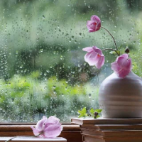 عاطفه سوری
