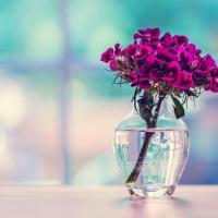ز م