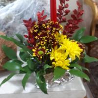 ریحانه شجاعی دوست