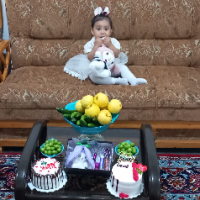 سید محمدرضا فقیری