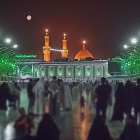 علیرضا ظلی تبار