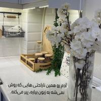 فاطمه دیلم