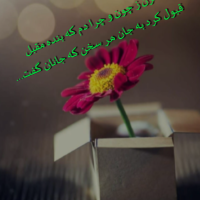 مجتبی کهوند