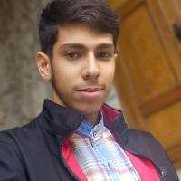 محمد مهدی علیزاده نیک