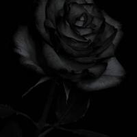 حمیده ناصری