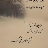 نویدرضا نویدرضا