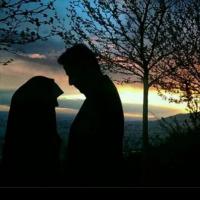 محمد فاضل د