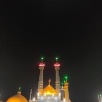 فاطمه شیرعلی