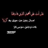 محمد رضوانی