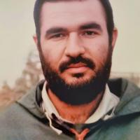 سید مهدی