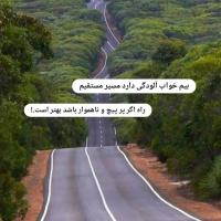محمد محمدی