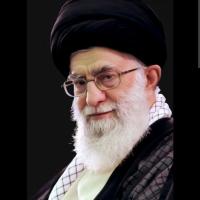 محسن سلیمانی