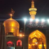 محمد مهدی محمدی