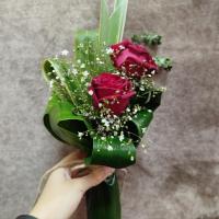 ریحانه معروفی