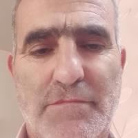 فرهاد طالب