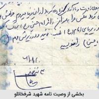 علیرضا هادی