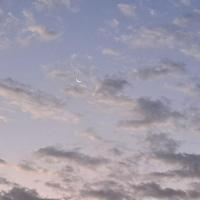 مريم ابراهیم قاسمی