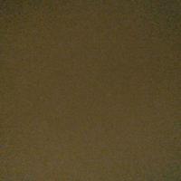 فاطمه انصاری