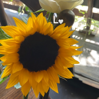 مهدیه اکبری