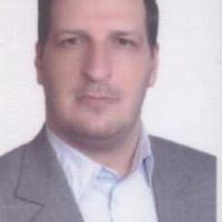 وحید رضائی
