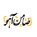 فائزه مجیدیانی