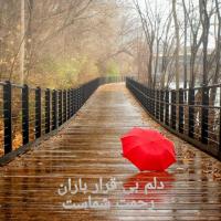 وفا حسین زاده عطار