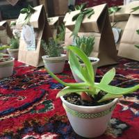 محمدمهدی کرمی