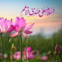 فریبا اسلامی