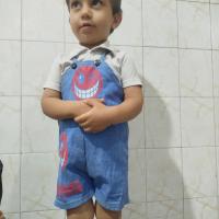 محمد خسرو شیری