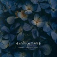 اسماعیل زرودی