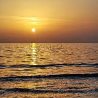 حلیمه امینی