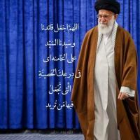 محمدرضا توجهی