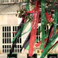 سمانه نعلبندی